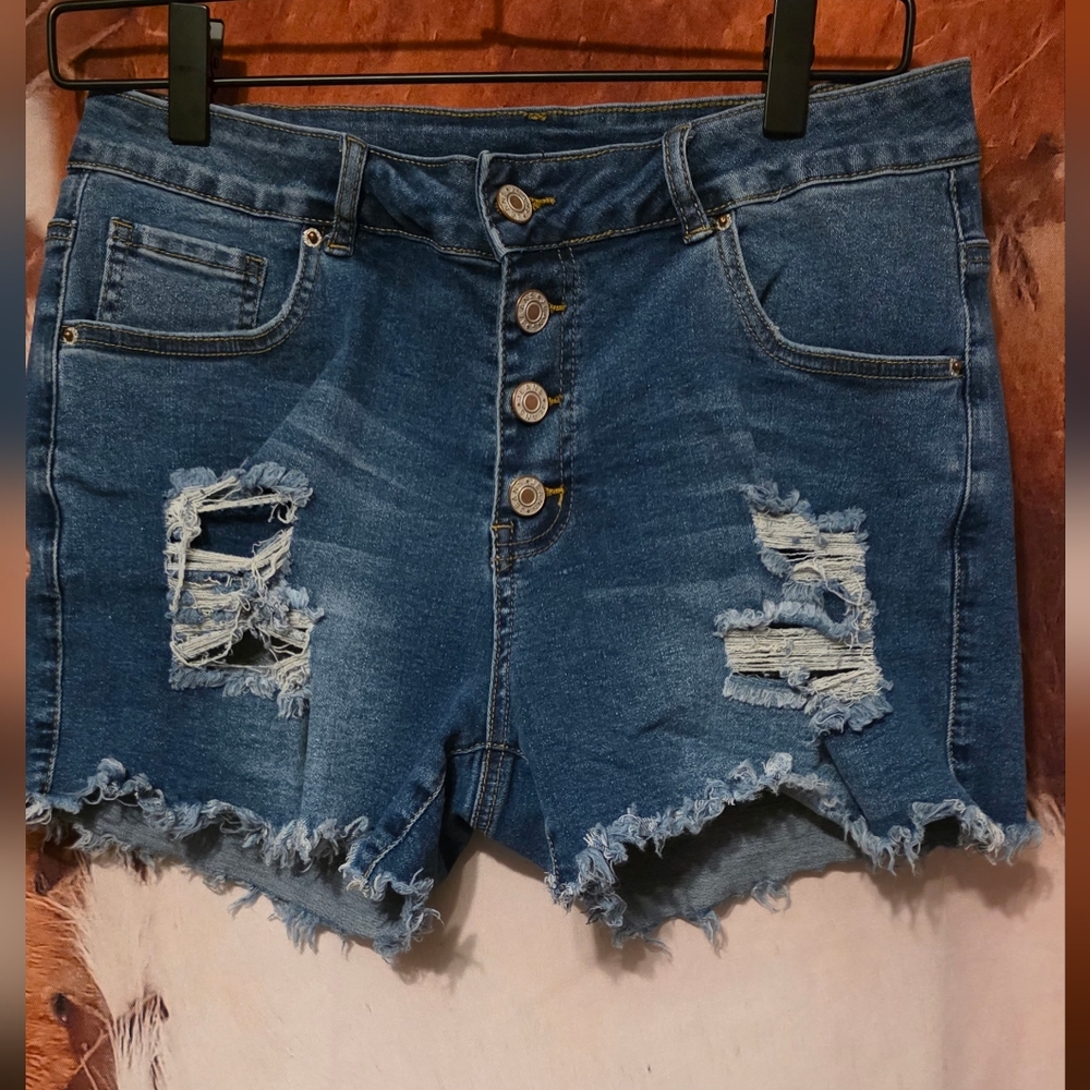 Stylish Blue Distressed Jean Shorts